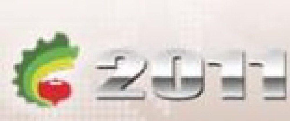 2011中國國際鑄造零部件展覽會(huì)